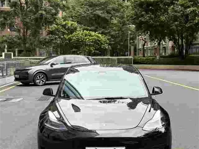 Tesla Model 3 2022 Model Rear-Wheel Drive Version