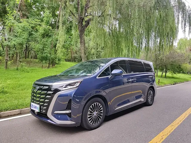 Denza D9 2022 DM-i 970 All-Wheel Drive Honor Edition