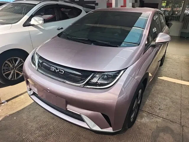 BYD Dolphin 2023 420km Freedom Edition
