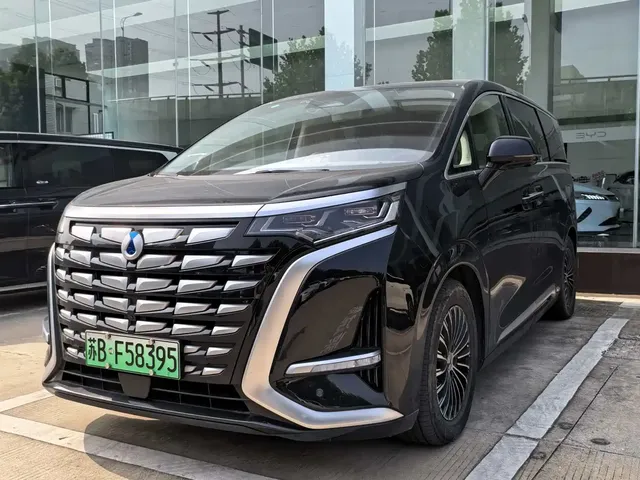 Denza D9 2022 DM-i 970 All-Wheel Drive Honor Edition