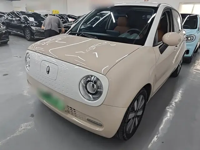 Ora Black Cat 2022 351km Standard (NMC)