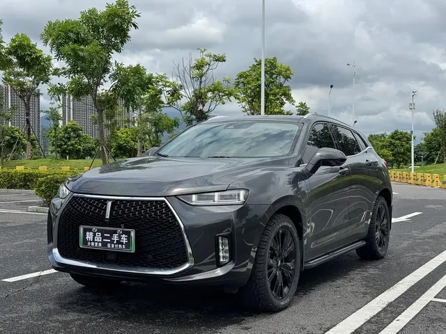 WEY P8 2018 2.0T Flagship Model