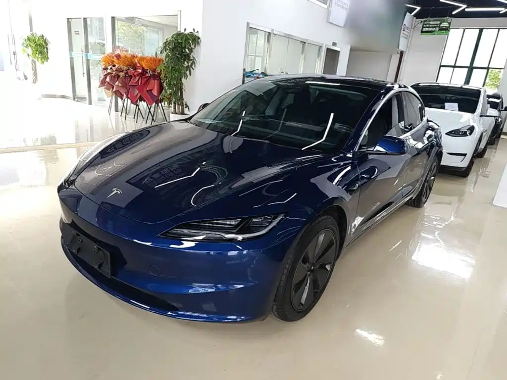 Tesla Model 3 2025 Model Rear-Wheel Drive Edition