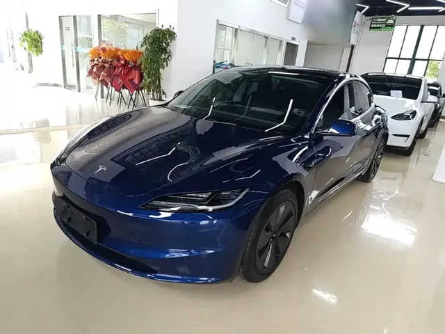 Tesla Model 3 2025 Model Rear-Wheel Drive Edition