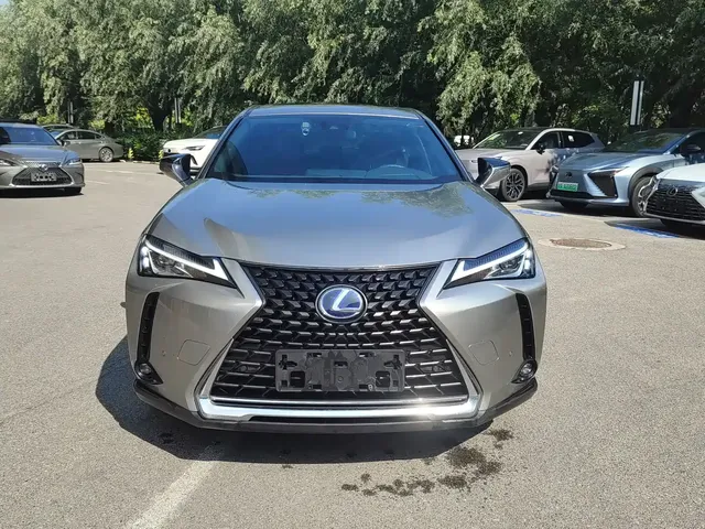 Lexus UX 2020 260h Explore Fun Edition