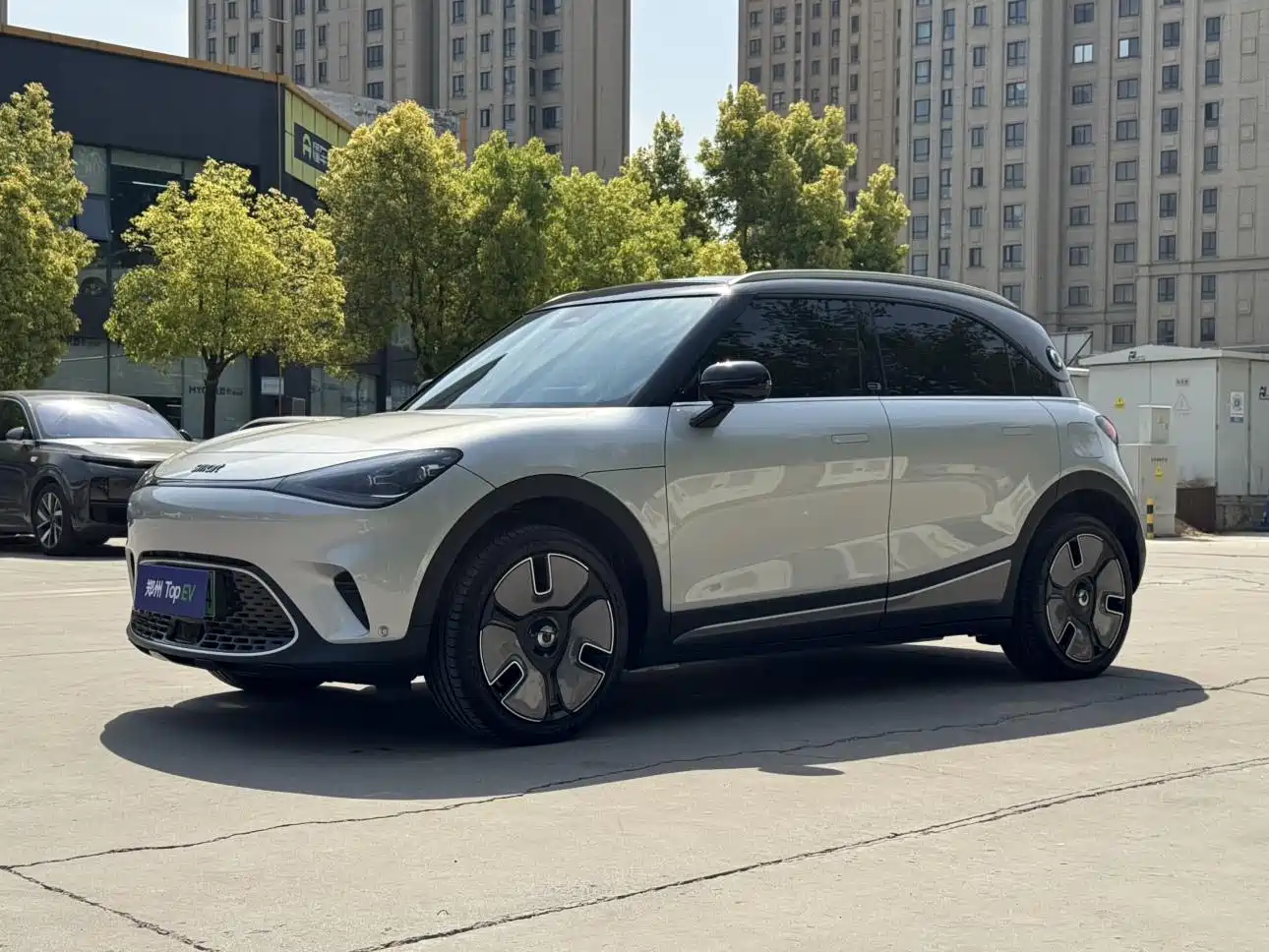 smart Elf #1 2022 Premium Edition