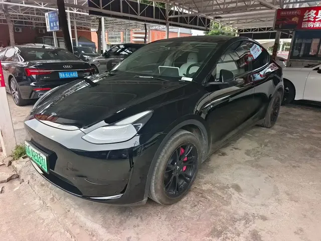 Tesla Model Y 2023 Rear-Wheel Drive Edition