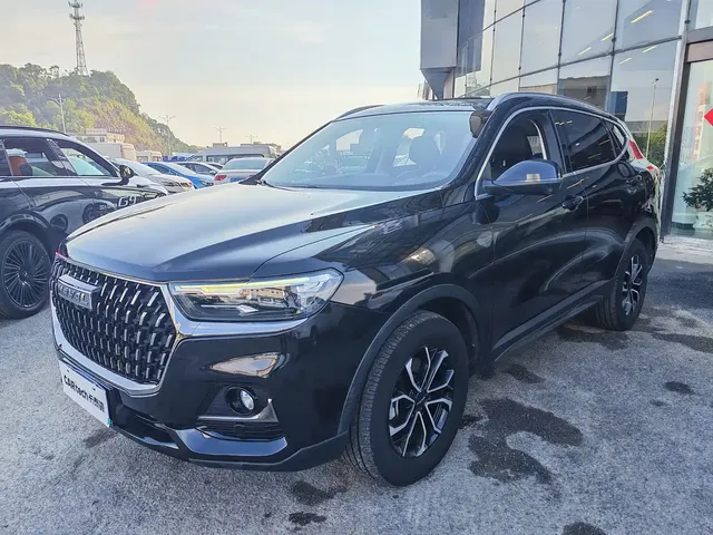 Haval H6 2023 National Trend Edition 1.5T Automatic Champion