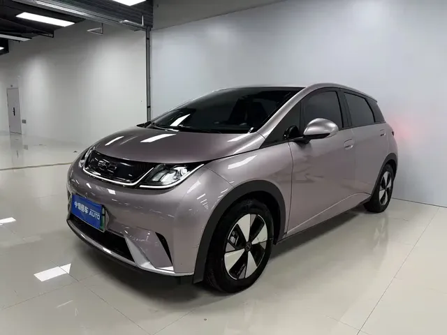 BYD Dolphin 2023 420km Freedom Edition