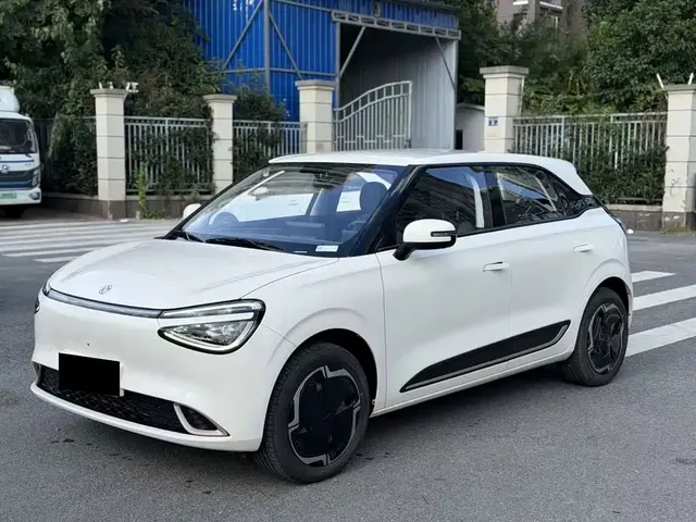 Dongfeng Yipai Nano 01 2024 430 Plus