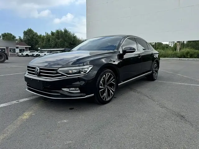 Volkswagen Magotan 2020 330TSI DSG Luxury