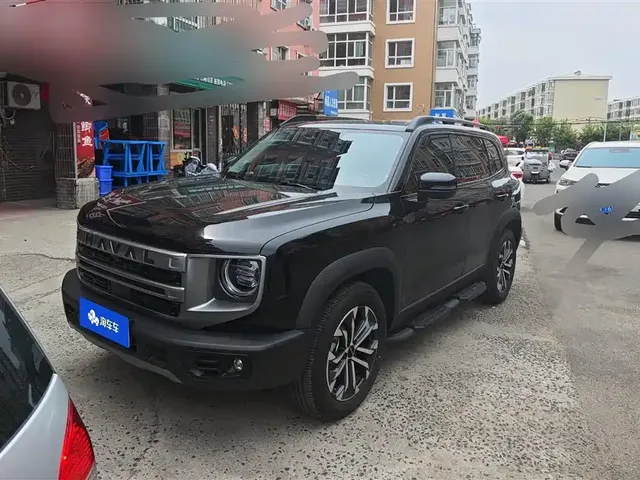 Haval Big Dog 2024 1.5T DCT Border Collie Edition