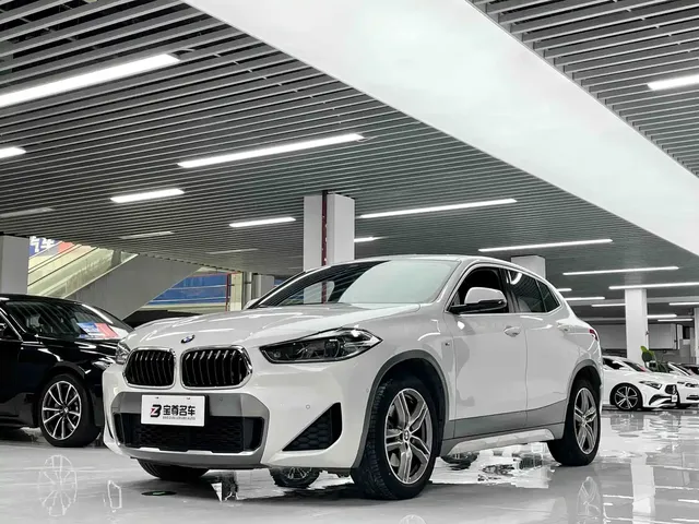 BMW X2 2020 sDrive25i Leading M Off-Road Package