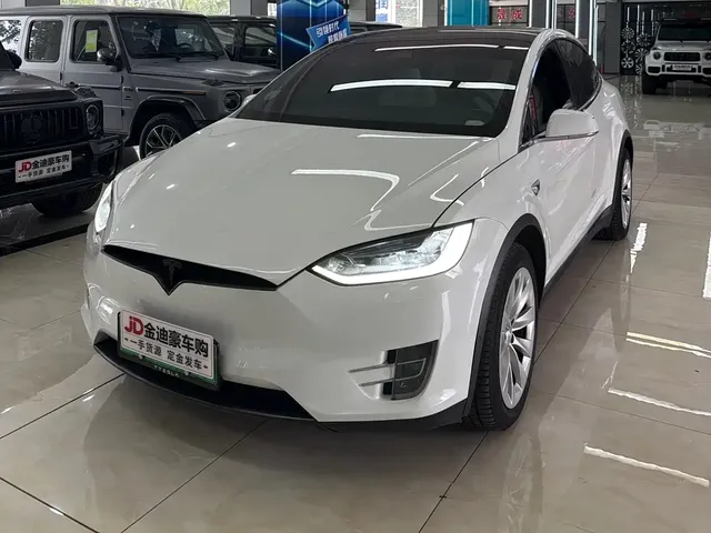 Tesla Model X 2017 Model X 100D Long Range