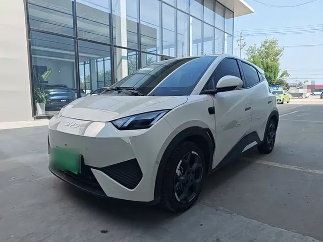 BYD Seagull 2025 Smart Drive Edition 305km Freedom Version