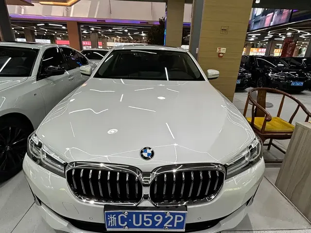 BMW 5 Series 2021 530Li Leading Luxury Package