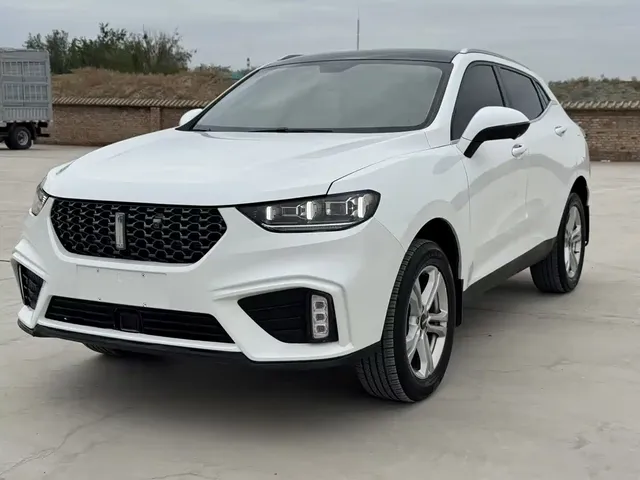 WEY VV5 2020 1.5T 2WD Style Pioneer