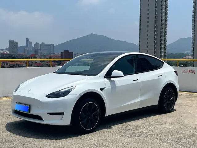 Tesla Model Y 2022 Rear-Wheel Drive Version