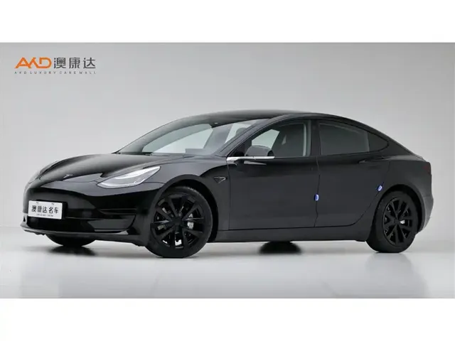 Tesla Model 3 2020 Facelift Standard Range RWD Upgrade