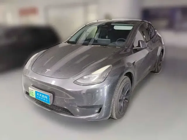 Tesla Model Y 2024 Rear-Wheel Drive Version