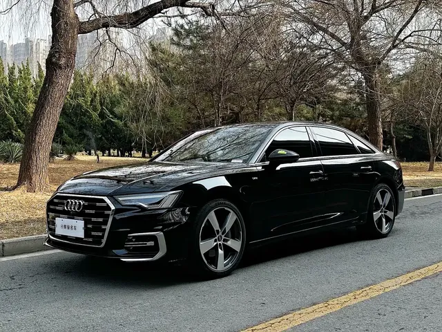 Audi A6L 2023 45 TFSI quattro Premium Dynamic