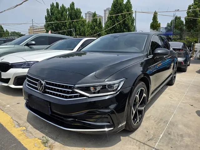 Volkswagen Magotan 2025 Popular Edition 330TSI DSG Luxury