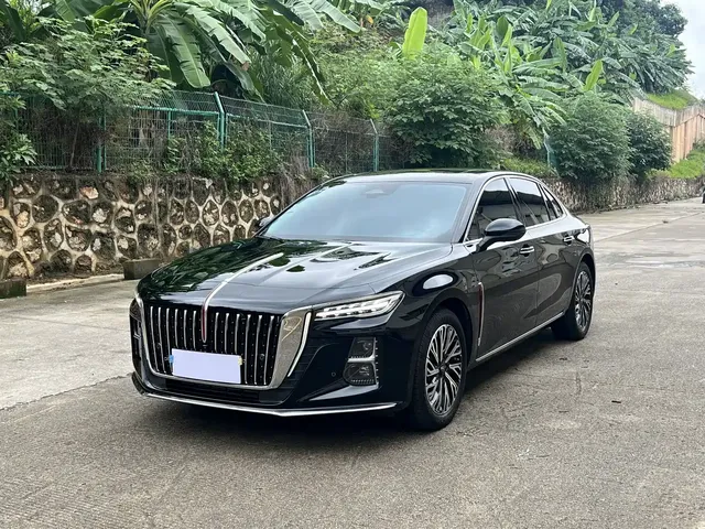 Hongqi H5 2025 2.0T Automatic Qixiang 500,000 Units Commemorative Edition
