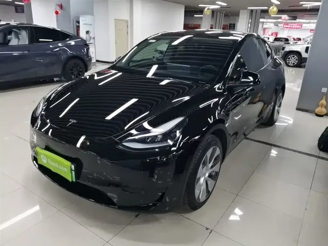 Tesla Model Y 2022 Rear-Wheel Drive Version