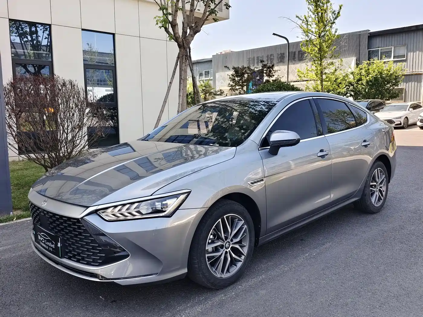 BYD Qin PLUS 2023 Champion Edition DM-i 120KM Excellence