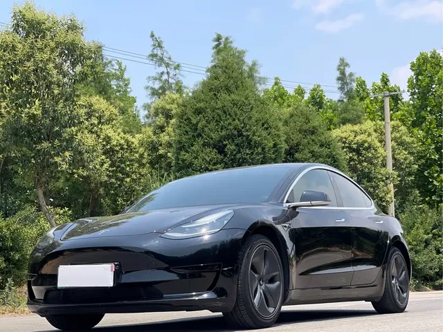 Tesla Model 3 2020 Facelift Standard Range RWD Upgrade