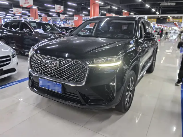 Haval H6 2021 3rd Gen 1.5T Auto 2WD Pro