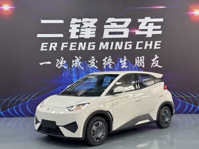 BYD Seagull 2025 305km Vitality