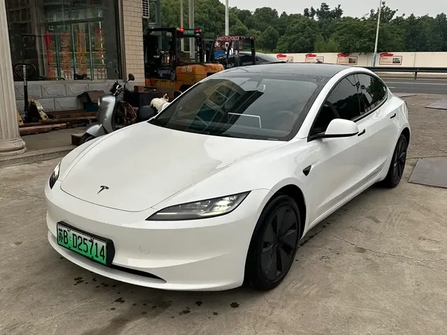 Tesla Model 3 2025 Model Rear-Wheel Drive Edition