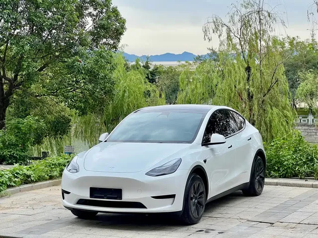 Tesla Model Y 2023 Rear-Wheel Drive Edition