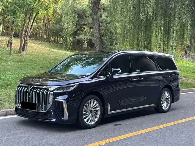 Voyah Auto Voyah Dreamer 2022 Low-carbon Edition Think+Smart Driving Package