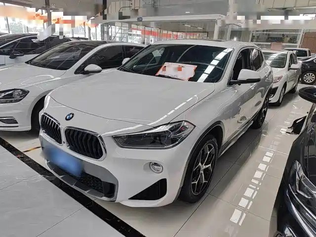 BMW X2 (Import) 2019 sDrive20i M Off-Road Package China VI