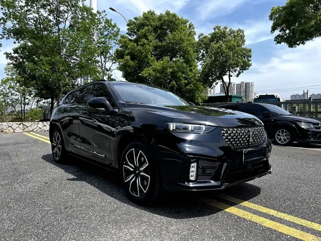 WEY VV7 New Energy 2020 PHEV 2.0T Flagship Model