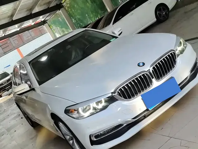 BMW 5 Series 2019 530Li Leading Luxury Package