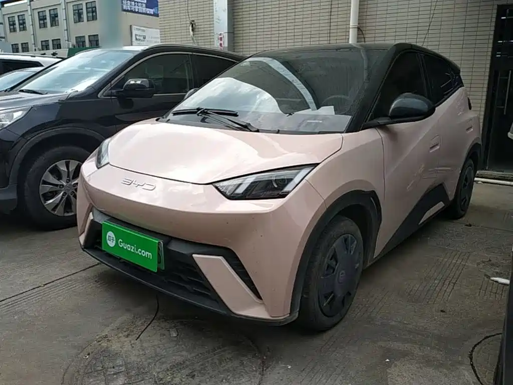BYD Seagull 2024 Glory Edition 305km Vitality Edition