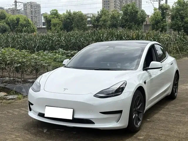 Tesla Model 3 2021 Standard Range Rear-Wheel Drive Upgrade