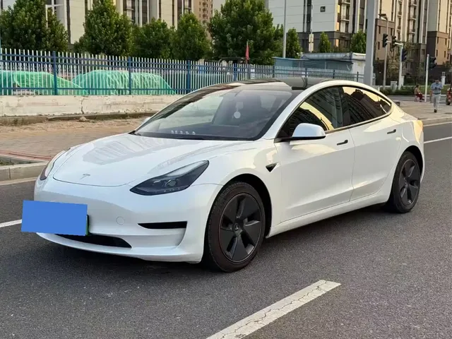 Tesla Model 3 2022 Model Rear-Wheel Drive Version