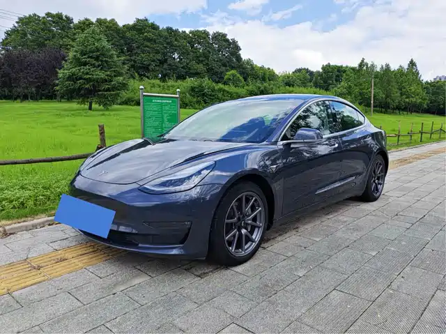 Tesla Model 3 (Import) 2019 Performance High-Efficiency All-Wheel Drive Version