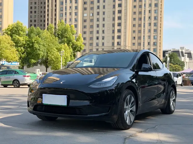 Tesla Model Y 2022 Rear-Wheel Drive Version