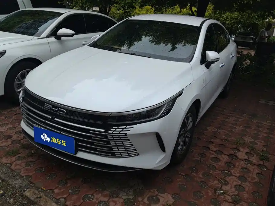 BYD Destroyer 05 2023 Champion Edition DM-i 55KM Luxury