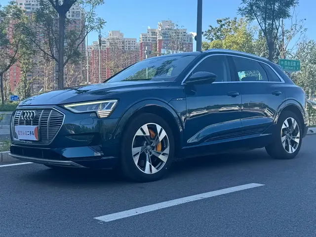 Audi e-tron (Import) 2019 55 quattro Fashion