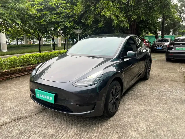 Tesla Model Y 2024 Rear-Wheel Drive Version