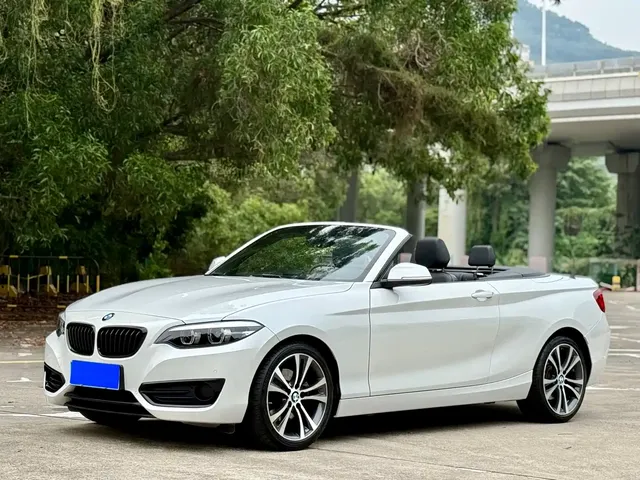 BMW 2 Series (Import) 2019 225i Convertible Coupe Sport Design Package