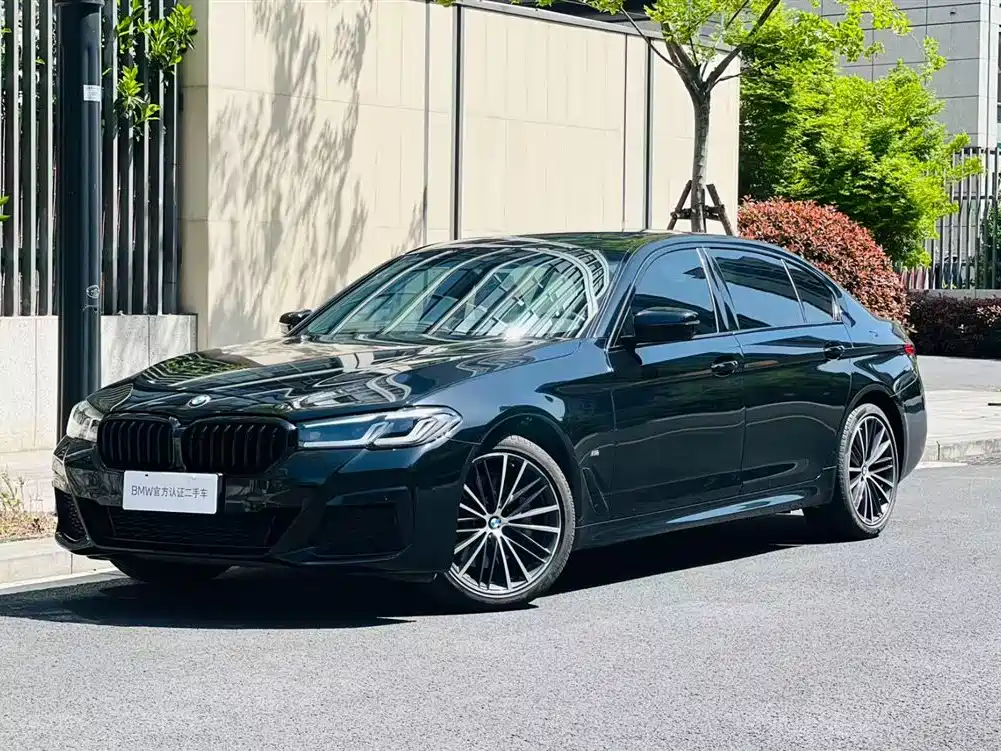 BMW 5 Series 2021 530Li Leading M Sport Package