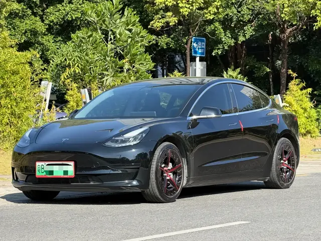 Tesla Model 3 2020 Standard Range Rear-Wheel Drive Upgrade