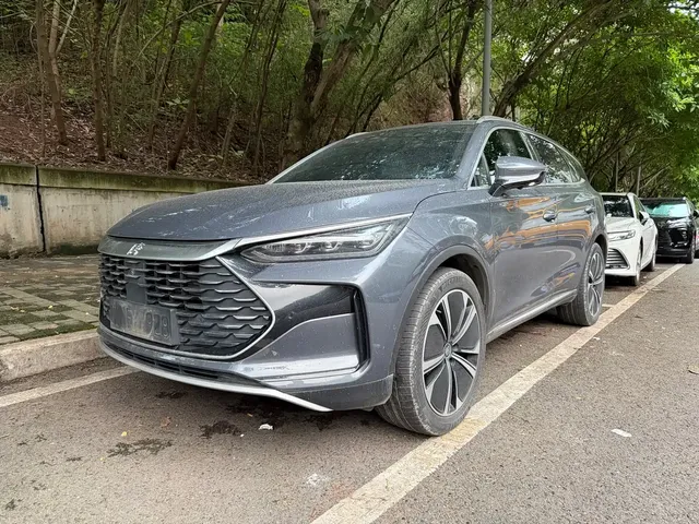 BYD Tang New Energy 2022 DM-p 215KM AWD Flagship